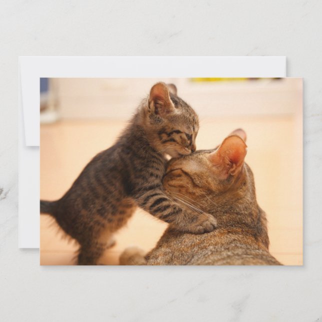 Cutest Baby Animals | Tabby Kitten Kiss Thank You Card (Front)
