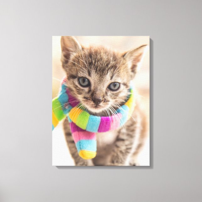 Cutest Baby Animals | Tabby Kitten Rainbow Scarf Canvas Print (Front)