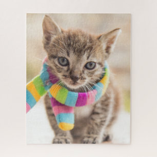 Cutest Baby Animals   Tabby Kitten Rainbow Scarf Jigsaw Puzzle