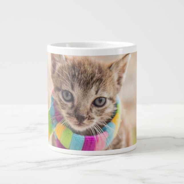 Cutest Baby Animals | Tabby Kitten Rainbow Scarf Large Coffee Mug (Front)