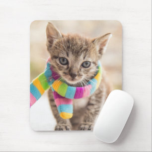 Cutest Baby Animals   Tabby Kitten Rainbow Scarf Mouse Mat