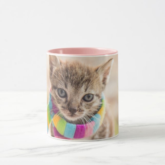 Cutest Baby Animals | Tabby Kitten Rainbow Scarf Mug (Center)