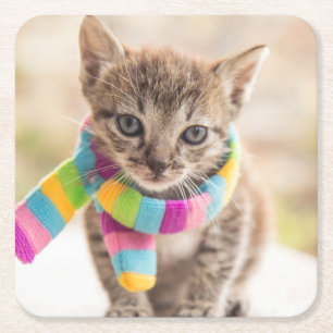 Cutest Baby Animals   Tabby Kitten Rainbow Scarf Square Paper Coaster