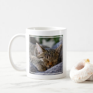 Cutest Baby Animals   Tabby Kitten Sleeping Coffee Mug