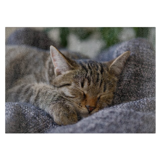 Cutest Baby Animals | Tabby Kitten Sleeping Cutting Board (Front)