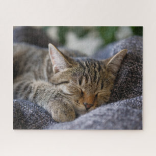 Cutest Baby Animals   Tabby Kitten Sleeping Jigsaw Puzzle