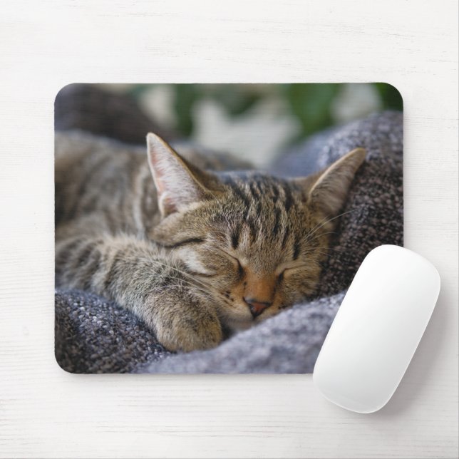 Cutest Baby Animals | Tabby Kitten Sleeping Mouse Mat (With Mouse)