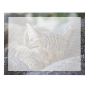 Cutest Baby Animals Tabby Kitten Sleeping Notepad