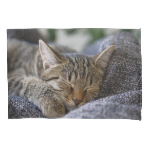 Cutest Baby Animals Tabby Kitten Sleeping Pillowcase
