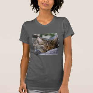 Cutest Baby Animals Tabby Kitten Sleeping T-Shirt