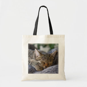 Cutest Baby Animals   Tabby Kitten Sleeping Tote Bag