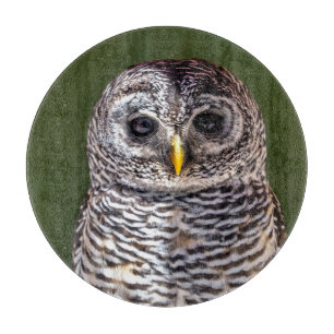 Cutest Baby Animals Tawny Owl Cutting Board