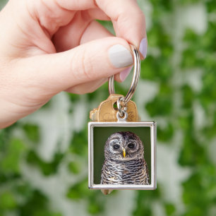 Cutest Baby Animals   Tawny Owl Key Ring