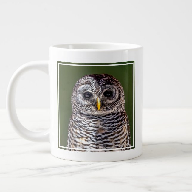 Cutest Baby Animals | Tawny Owl Large Coffee Mug (Left)