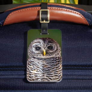 Cutest Baby Animals   Tawny Owl Luggage Tag