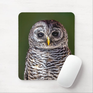 Cutest Baby Animals   Tawny Owl Mouse Mat