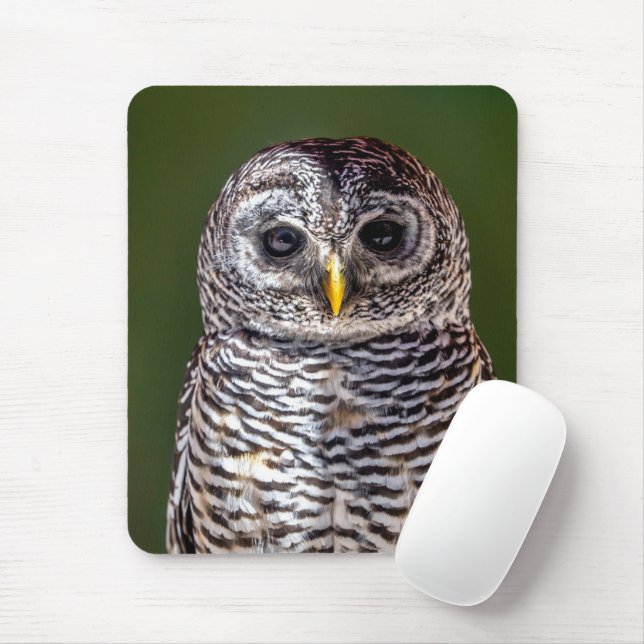 Cutest Baby Animals | Tawny Owl Mouse Mat (With Mouse)