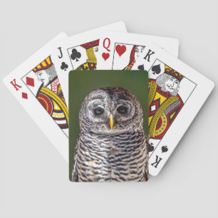 Cutest Baby Animals Tawny Owl Playing Cards