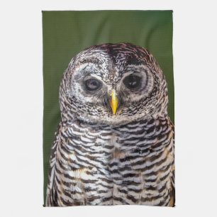 Cutest Baby Animals   Tawny Owl Tea Towel