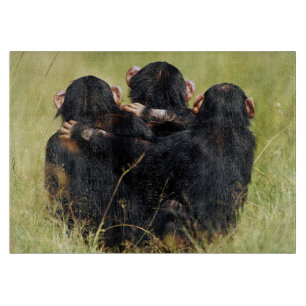 Cutest Baby Animals Three Chimpanzees Hugging Cutting Board