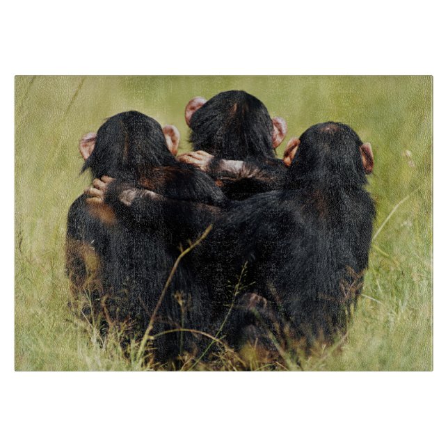 Cutest Baby Animals | Three Chimpanzees Hugging Cutting Board (Front)