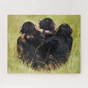 Cutest Baby Animals   Three Chimpanzees Hugging Jigsaw Puzzle
