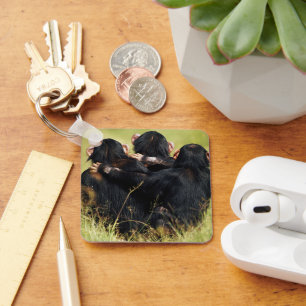 Cutest Baby Animals Three Chimpanzees Hugging Key Ring