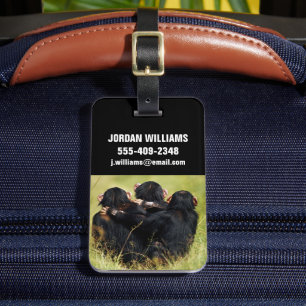Cutest Baby Animals   Three Chimpanzees Hugging Luggage Tag