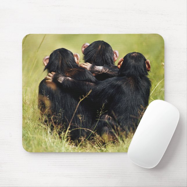 Cutest Baby Animals | Three Chimpanzees Hugging Mouse Mat (With Mouse)