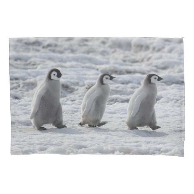 Cutest Baby Animals | Three Emperor Penguin Chicks Pillowcase (Front)
