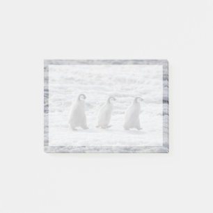 Cutest Baby Animals Three Emperor Penguin Chicks Post-it Notes