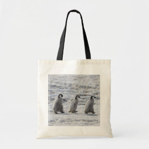 Cutest Baby Animals Three Emperor Penguin Chicks Tote Bag