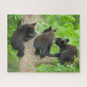 Cutest Baby Animals   Three Young Black Bear Cubs Jigsaw Puzzle
