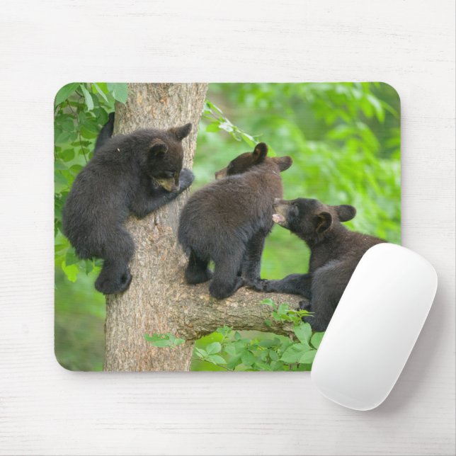 Cutest Baby Animals | Three Young Black Bear Cubs Mouse Mat (With Mouse)