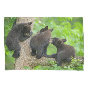 Cutest Baby Animals   Three Young Black Bear Cubs Pillowcase
