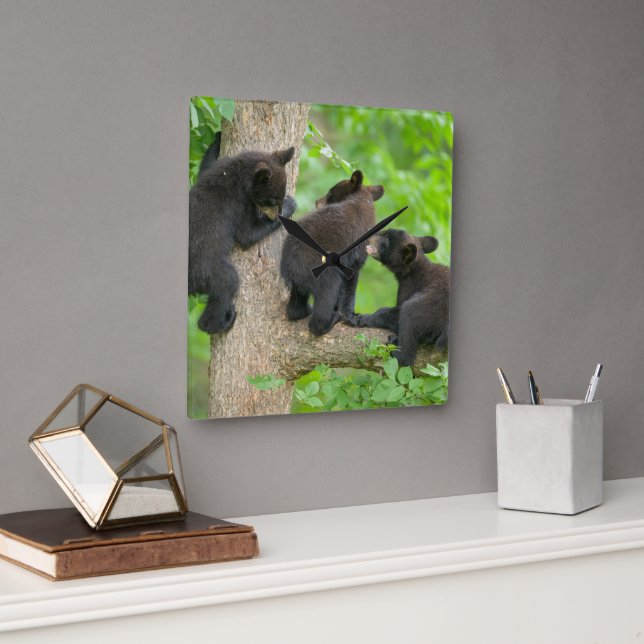 Cutest Baby Animals | Three Young Black Bear Cubs Square Wall Clock (Office)