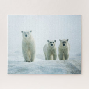 Cutest Baby Animals   Three Young Polar Bears Jigsaw Puzzle