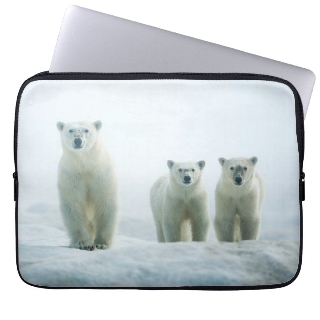 Cutest Baby Animals | Three Young Polar Bears Laptop Sleeve (Front)