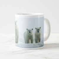 Cutest Baby Animals | Three Young Polar Bears