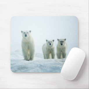 Cutest Baby Animals   Three Young Polar Bears Mouse Mat