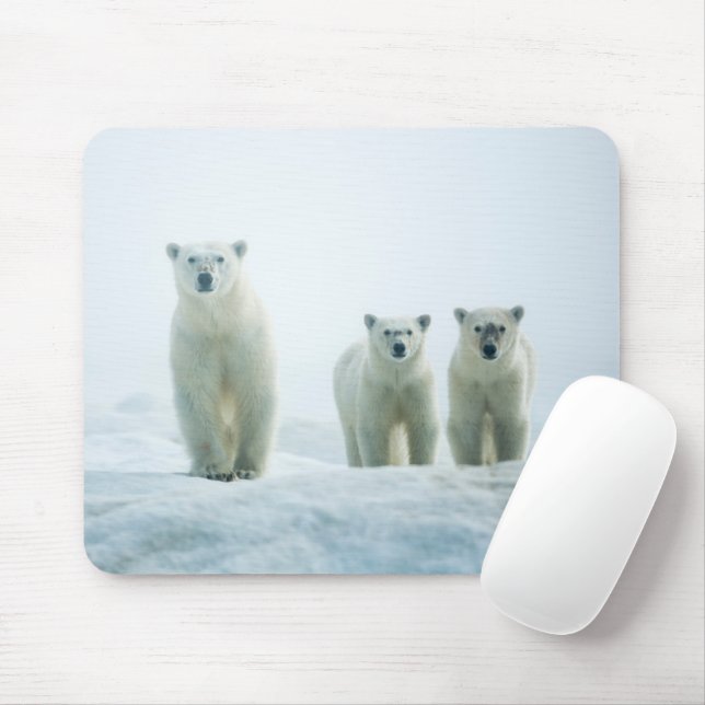 Cutest Baby Animals | Three Young Polar Bears Mouse Mat (With Mouse)