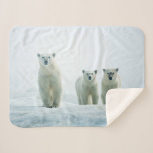 Cutest Baby Animals   Three Young Polar Bears Sherpa Blanket