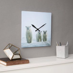 Cutest Baby Animals Three Young Polar Bears Square Wall Clock