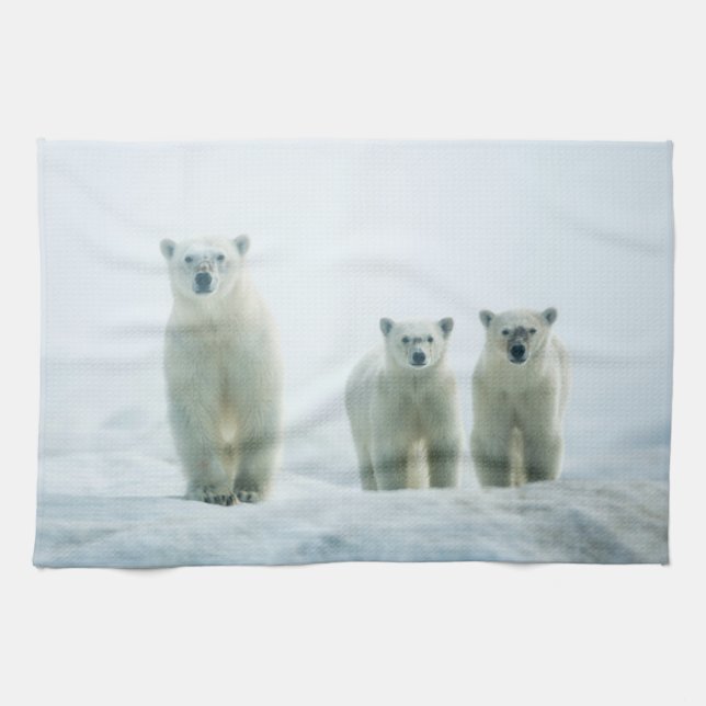 Cutest Baby Animals | Three Young Polar Bears Tea Towel (Horizontal)
