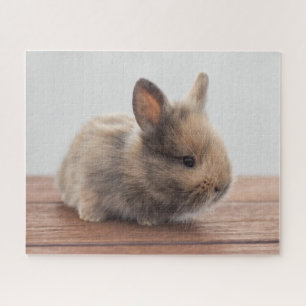 Cutest Baby Animals Tiny Baby Bunny Jigsaw Puzzle