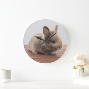 Cutest Baby Animals Tiny Baby Bunny Large Clock