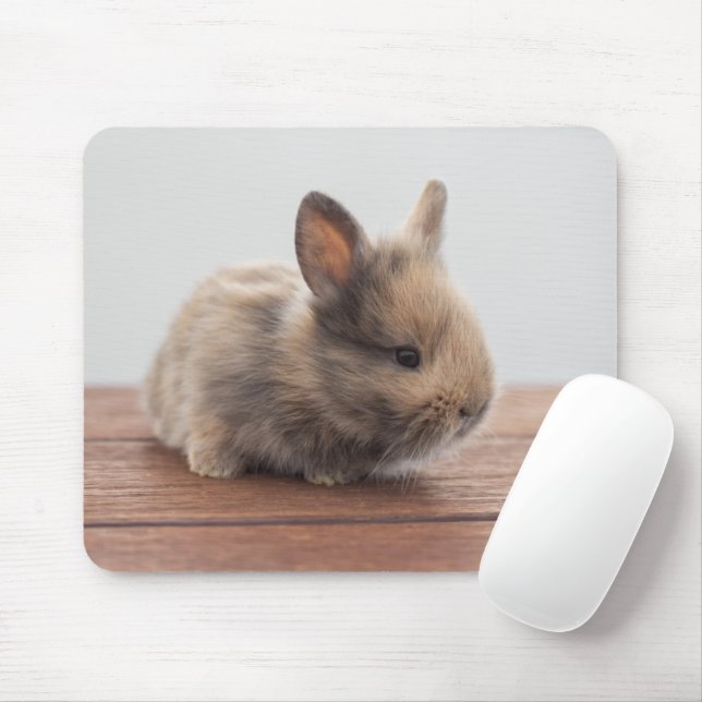 Cutest Baby Animals | Tiny Baby Bunny Mouse Mat (With Mouse)