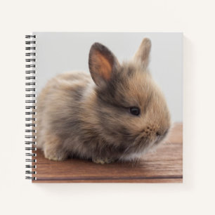 Cutest Baby Animals Tiny Baby Bunny Notebook