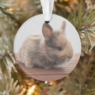 Cutest Baby Animals Tiny Baby Bunny Ornament
