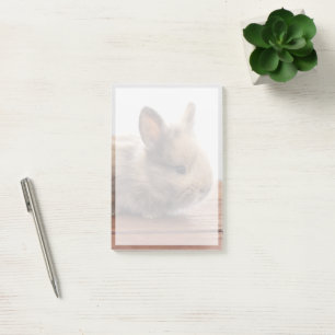 Cutest Baby Animals Tiny Baby Bunny Post-it Notes